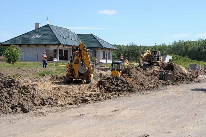 W kurzu i skwarze zdjęcie nr 37305