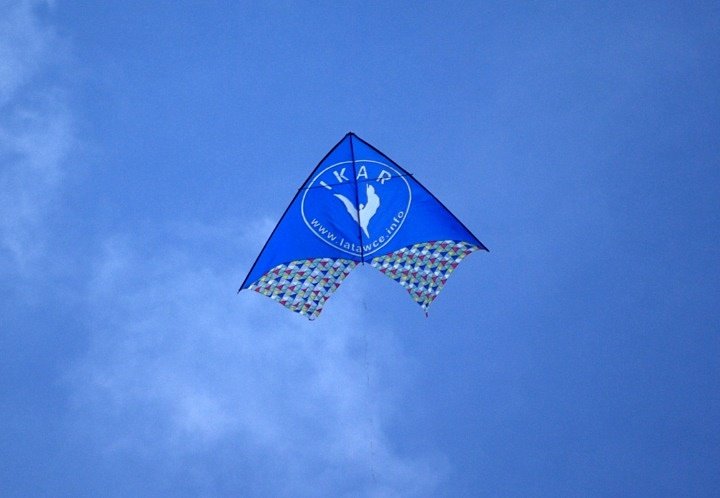 Elbląg Festiwal latawców