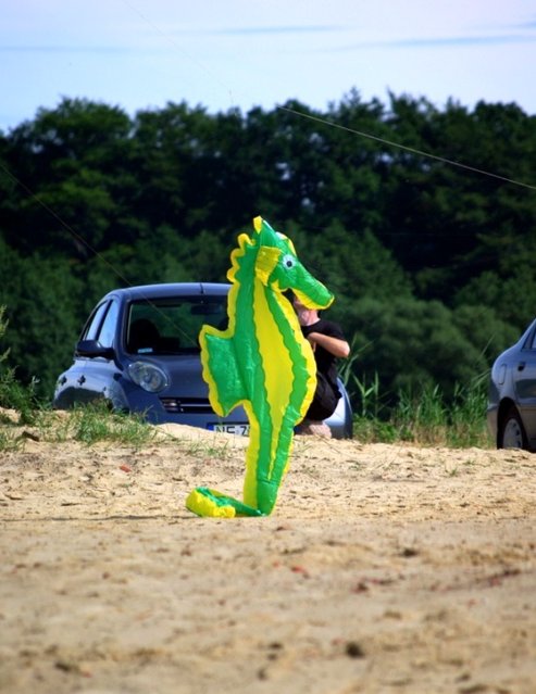 Festiwal latawców zdjęcie nr 37824