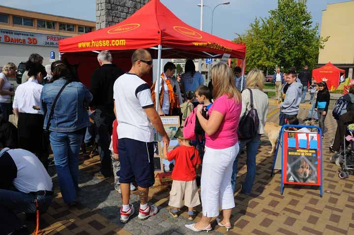 Najlepszy przyjaciel człowieka zdjęcie nr 39803