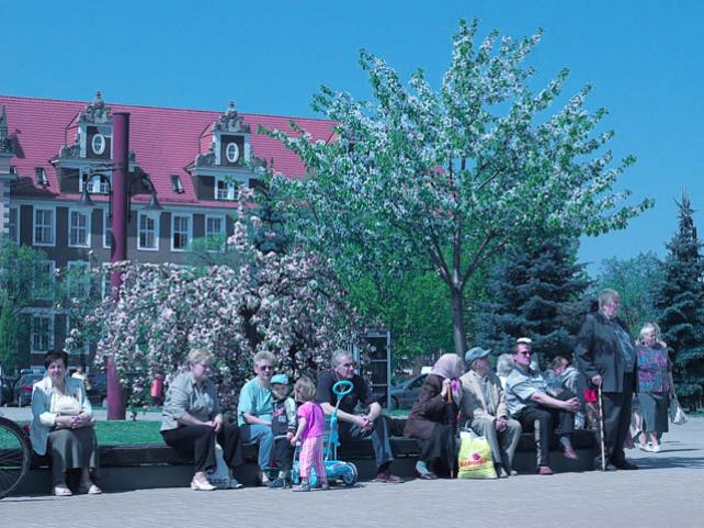 Elbląg W 61. rocznicę