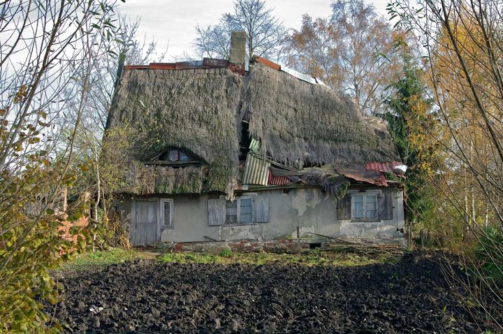 Czas bywa bezlitosny... zdjęcie nr 40841