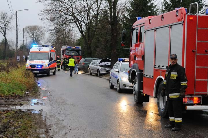 Elbląg Peugeot uderzył w drzewo
