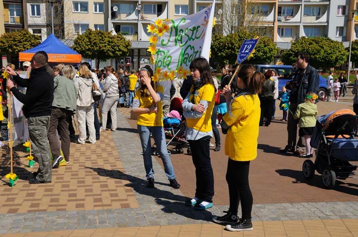 Żonkilowy festyn na rzecz hospicjum zdjęcie nr 44417