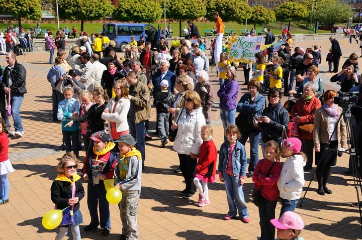 Żonkilowy festyn na rzecz hospicjum zdjęcie nr 44407