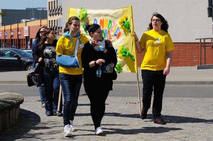 Żonkilowy festyn na rzecz hospicjum zdjęcie nr 44428