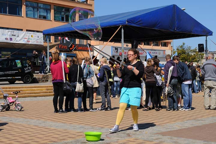 Żonkilowy festyn na rzecz hospicjum zdjęcie nr 44427