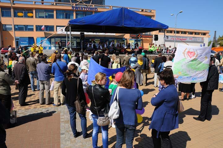 Żonkilowy festyn na rzecz hospicjum zdjęcie nr 44411