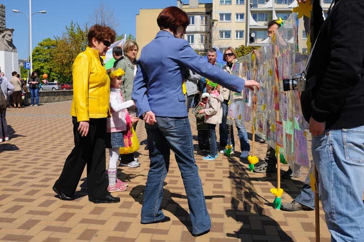 Żonkilowy festyn na rzecz hospicjum zdjęcie nr 44435