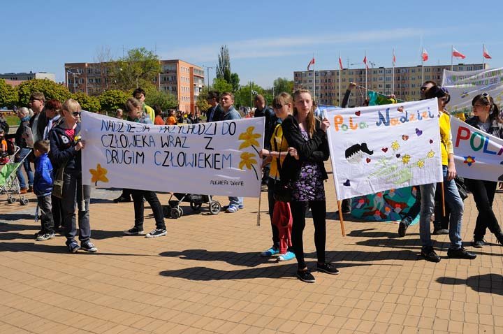 Żonkilowy festyn na rzecz hospicjum zdjęcie nr 44434