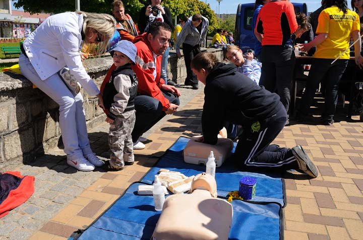 Żonkilowy festyn na rzecz hospicjum zdjęcie nr 44438