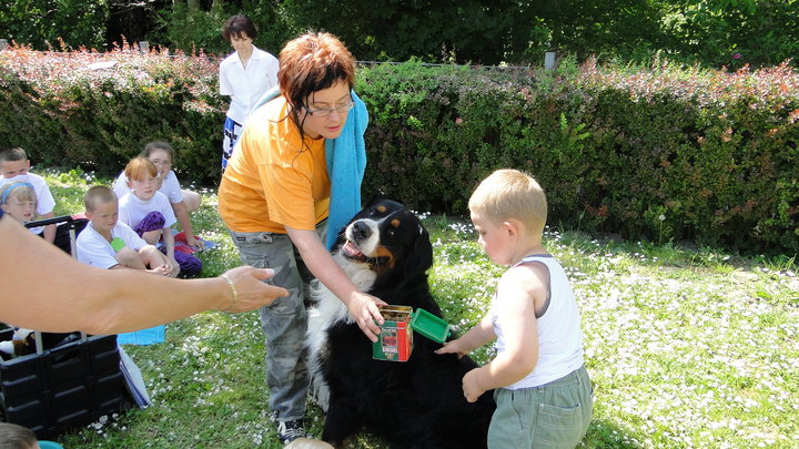 Dzień Szkoły bez Przemocy w OSW nr 2 zdjęcie nr 46104