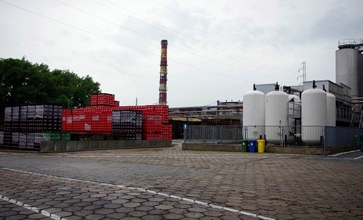 Elblążanie zwiedzali browar zdjęcie nr 46524