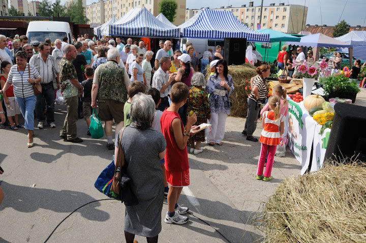 "Mój Rynek" - festyn na Targowisku Miejskim zdjęcie nr 47797