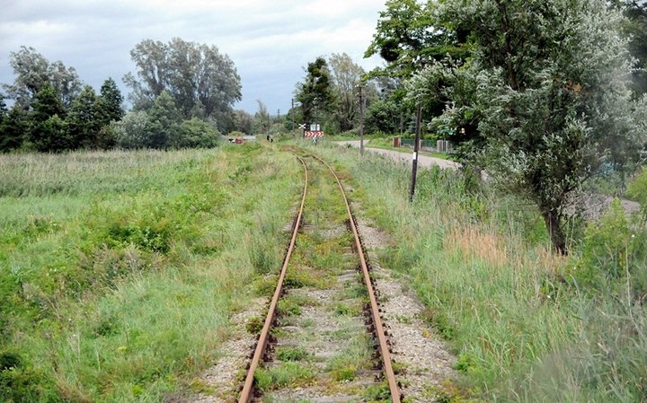 Ostatnia wakacyjna przejażdzka koleją nadzalewową zdjęcie nr 48129