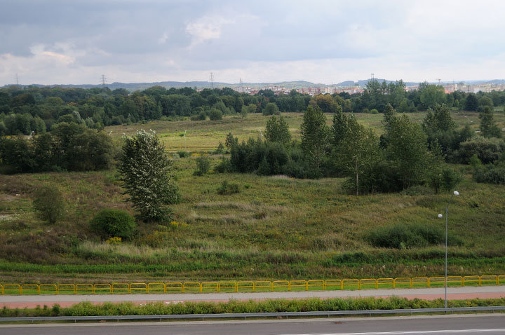Elbląski Park Technologiczny zdjęcie nr 48765