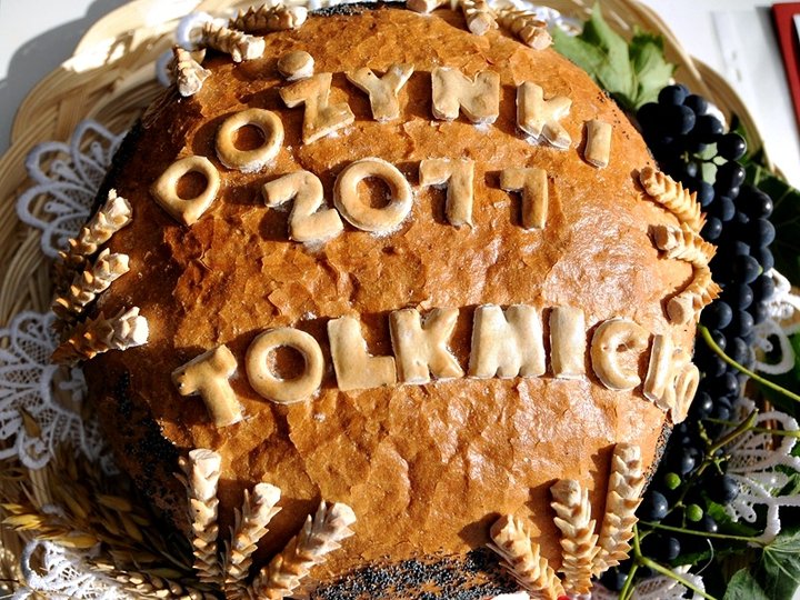 Dożynki w Tolkmicku zdjęcie nr 49022