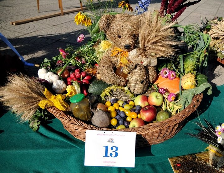 Dożynki w Tolkmicku zdjęcie nr 49020