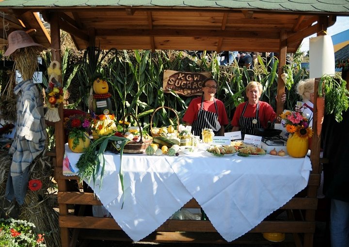 Dożynki w Tolkmicku zdjęcie nr 49001