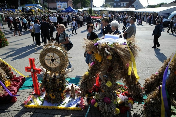 Dożynki w Tolkmicku zdjęcie nr 49021