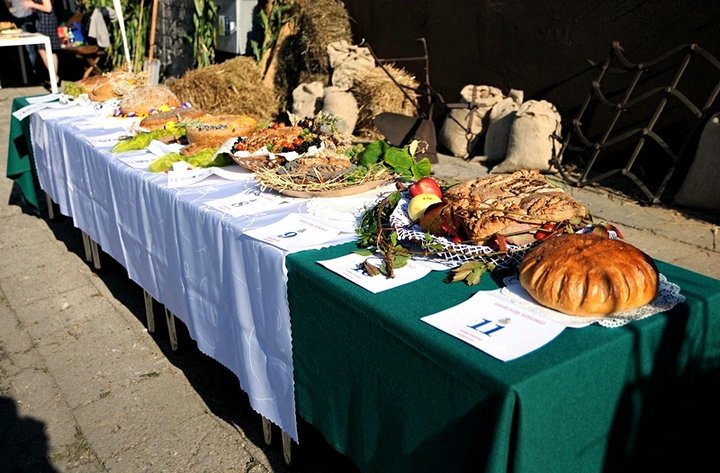 Dożynki w Tolkmicku zdjęcie nr 49017