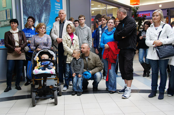 Elbląska Orkiestra Kameralna zagrała w Ogrodach zdjęcie nr 49316