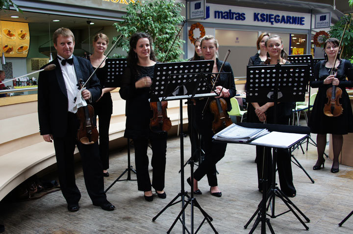 Elbląska Orkiestra Kameralna zagrała w Ogrodach zdjęcie nr 49320