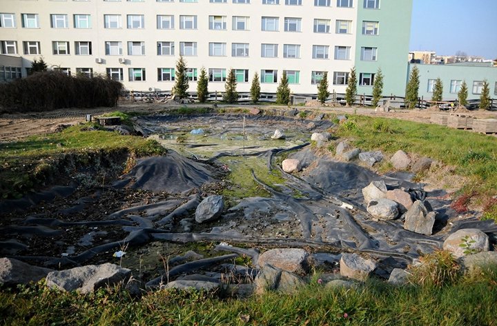 Rusza budowa nowego pawilonu szpitalnego zdjęcie nr 50155