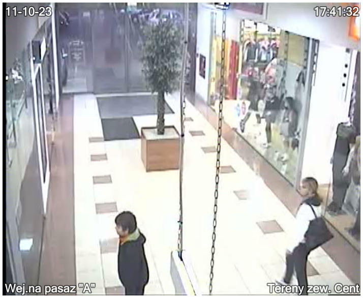 Policja poszukuje świadków zdjęcie nr 50352