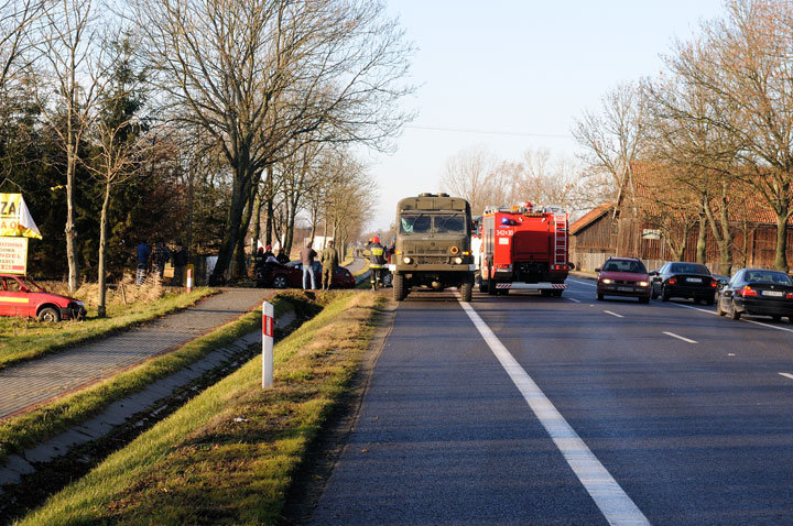 Kazimierzowo: kia na drzewie zdjęcie nr 51403
