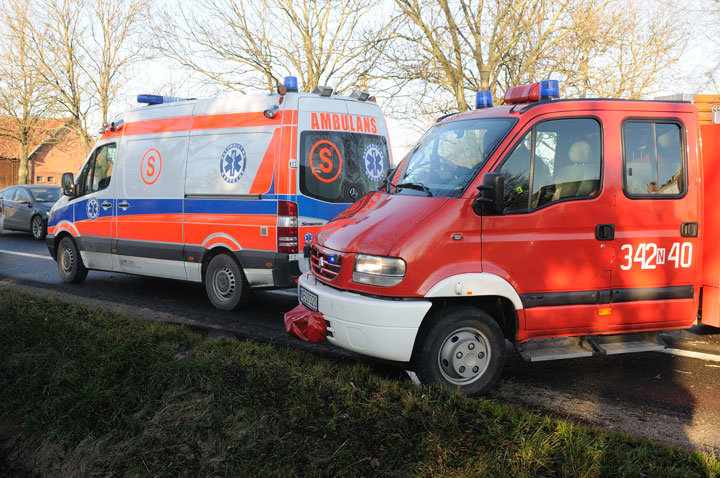 Kazimierzowo: kia na drzewie zdjęcie nr 51404