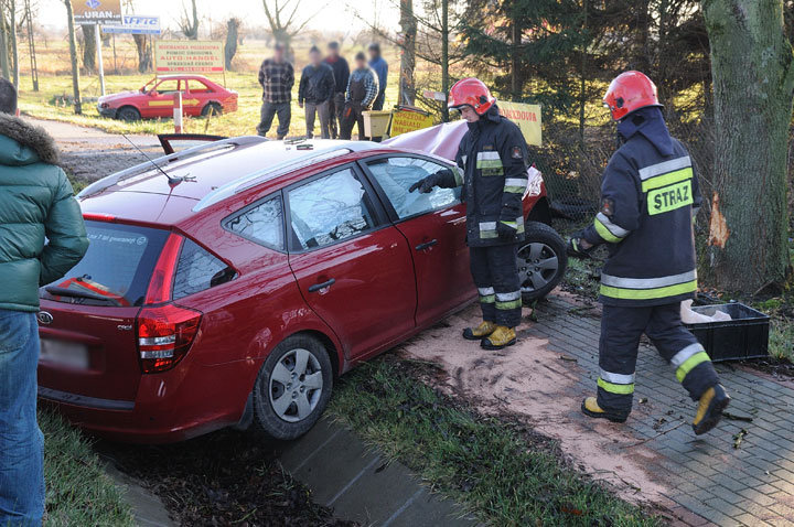 Kazimierzowo: kia na drzewie zdjęcie nr 51409