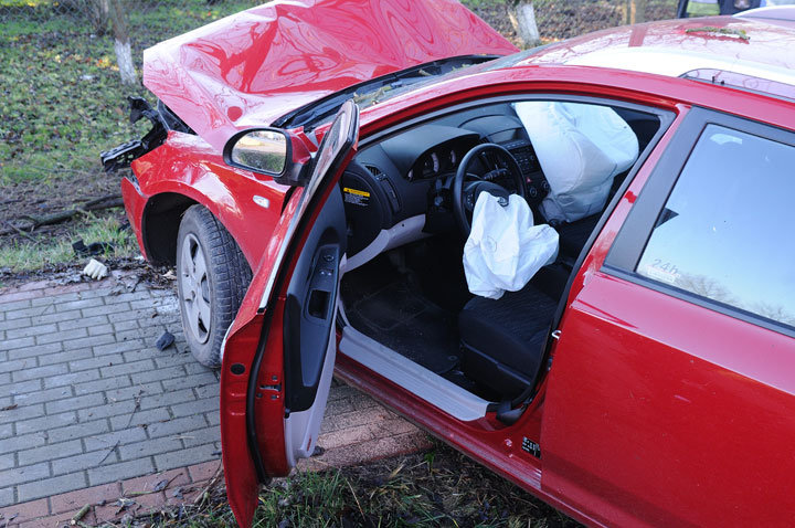 Kazimierzowo: kia na drzewie zdjęcie nr 51408