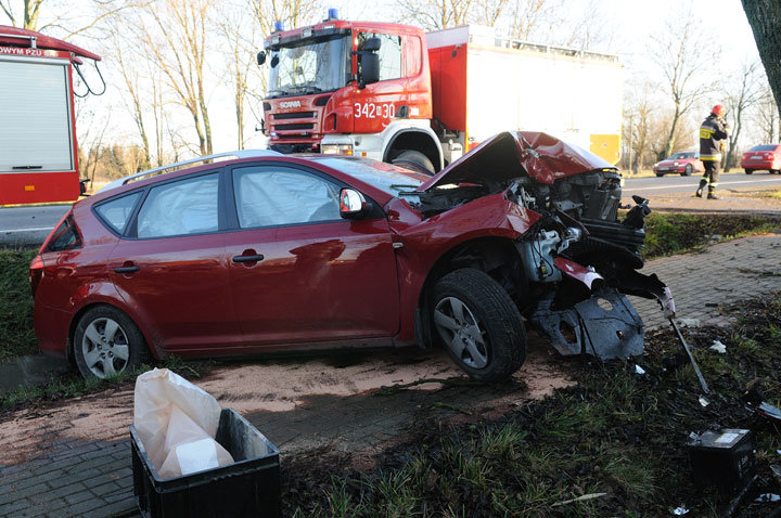 Kazimierzowo: kia na drzewie zdjęcie nr 51411
