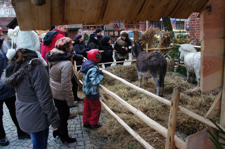 Świąteczne Spotkania Elblążan - dzień drugi zdjęcie nr 51619