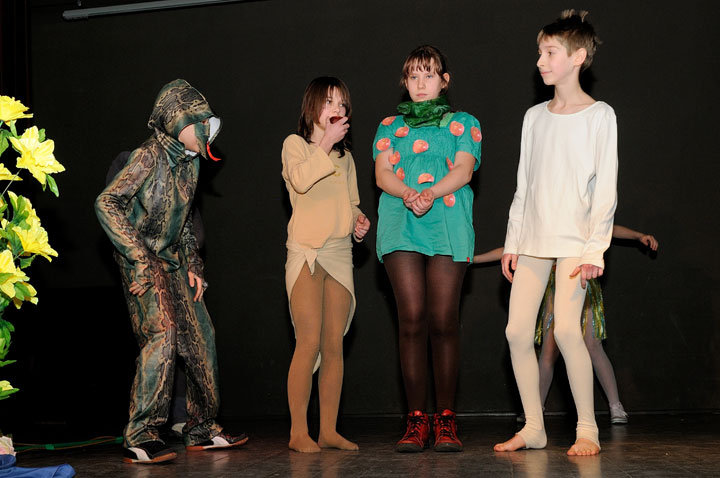 XVII Przegląd Przedstawień Kolędniczych zdjęcie nr 52213