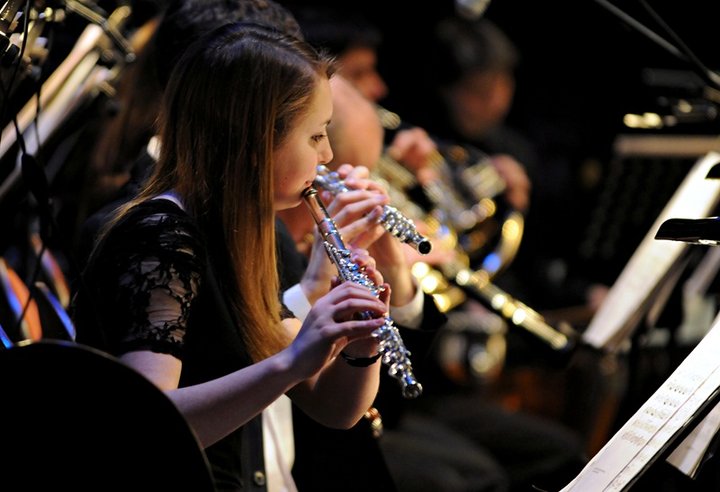 Karnawałowy koncert EOK zdjęcie nr 52240