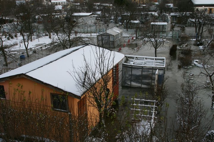 Woda na terenie ogródków działkowych zdjęcie nr 52244