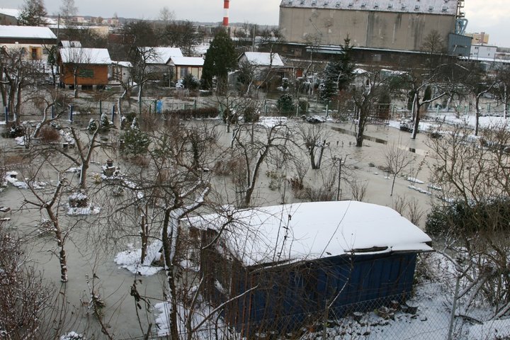 Elbląg Woda na terenie ogródków działkowych