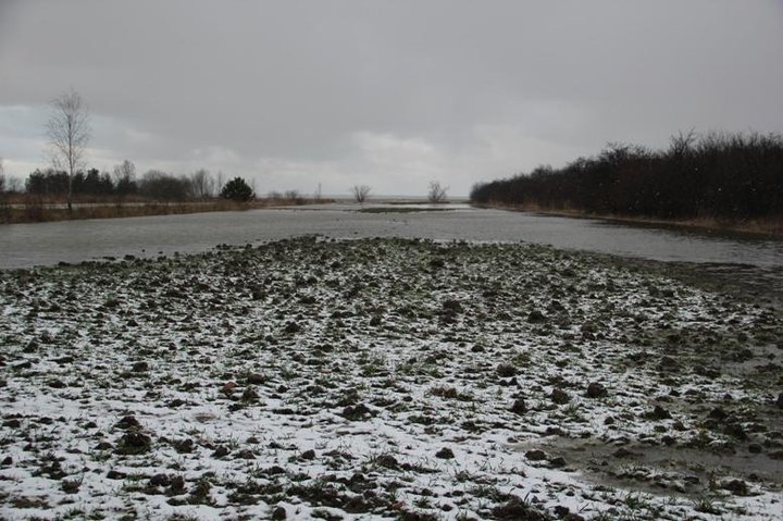 Zalew Wiślany wylewa zdjęcie nr 52310