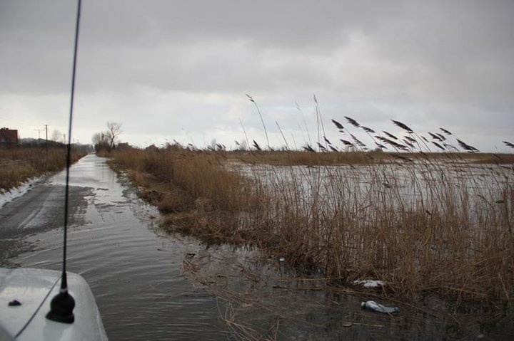 Zalew Wiślany wylewa zdjęcie nr 52313