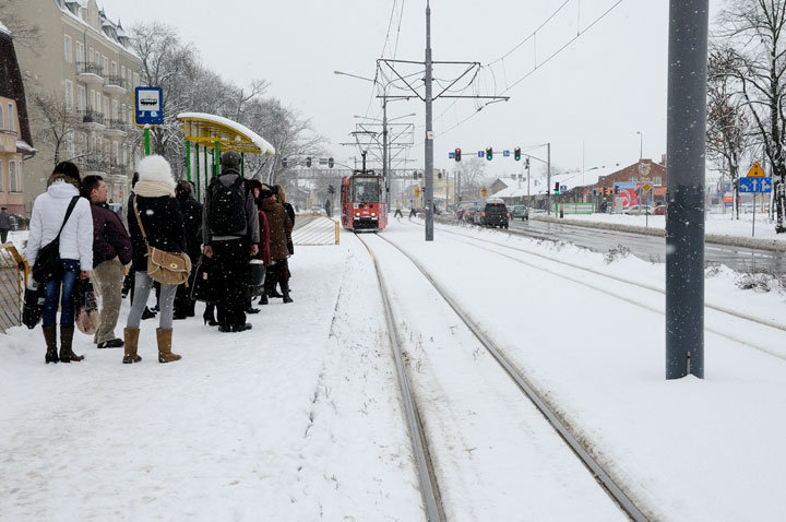 Sypnęło śniegiem zdjęcie nr 52439
