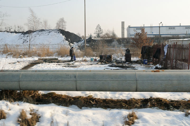 Ciężka zima dla bezdomnych zdjęcie nr 52958