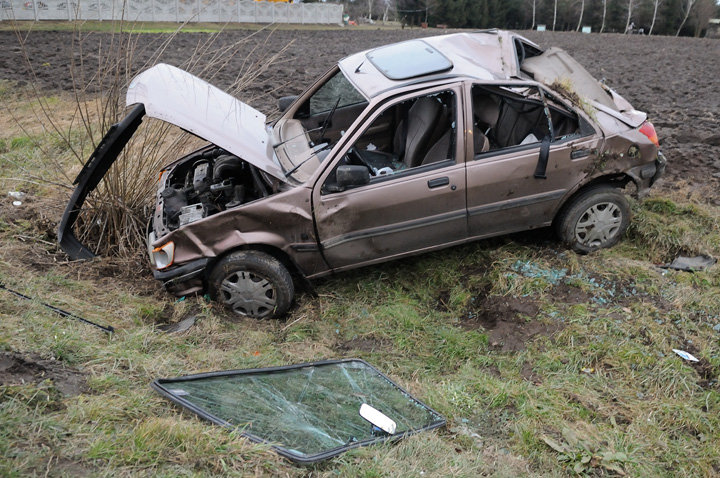 Krzewsk: fordem dachowali do rowu zdjęcie nr 53926