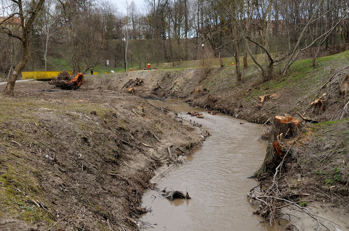 Trwa regulacja rzeki Kumieli zdjęcie nr 54707
