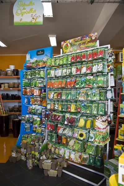 MGarden – Twój ogród naszą pasją! zdjęcie nr 55263