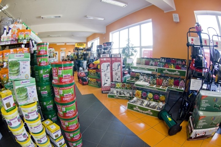 MGarden – Twój ogród naszą pasją! zdjęcie nr 55261