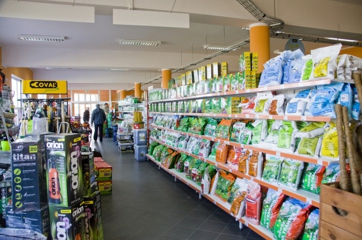 MGarden – Twój ogród naszą pasją! zdjęcie nr 55256