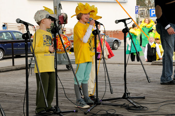 Żonkil - kwiat nadziei zdjęcie nr 55733