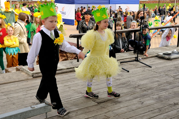 Żonkil - kwiat nadziei zdjęcie nr 55734